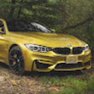 Meet your Posher, Salwan